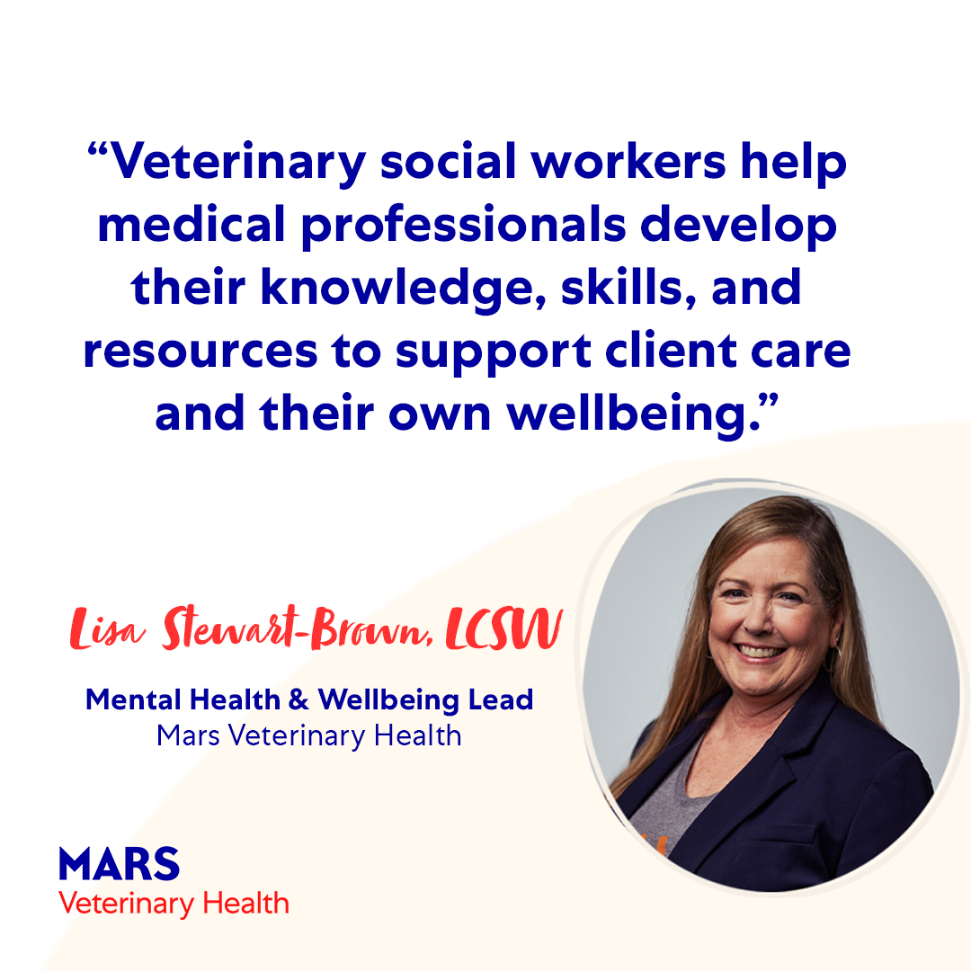 Supporting the mental health of veterinary teams and clients with licensed clinical social workers
