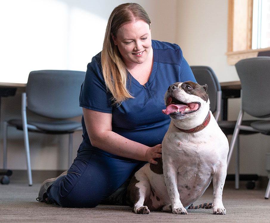 Mars Veterinary Health Extended Family