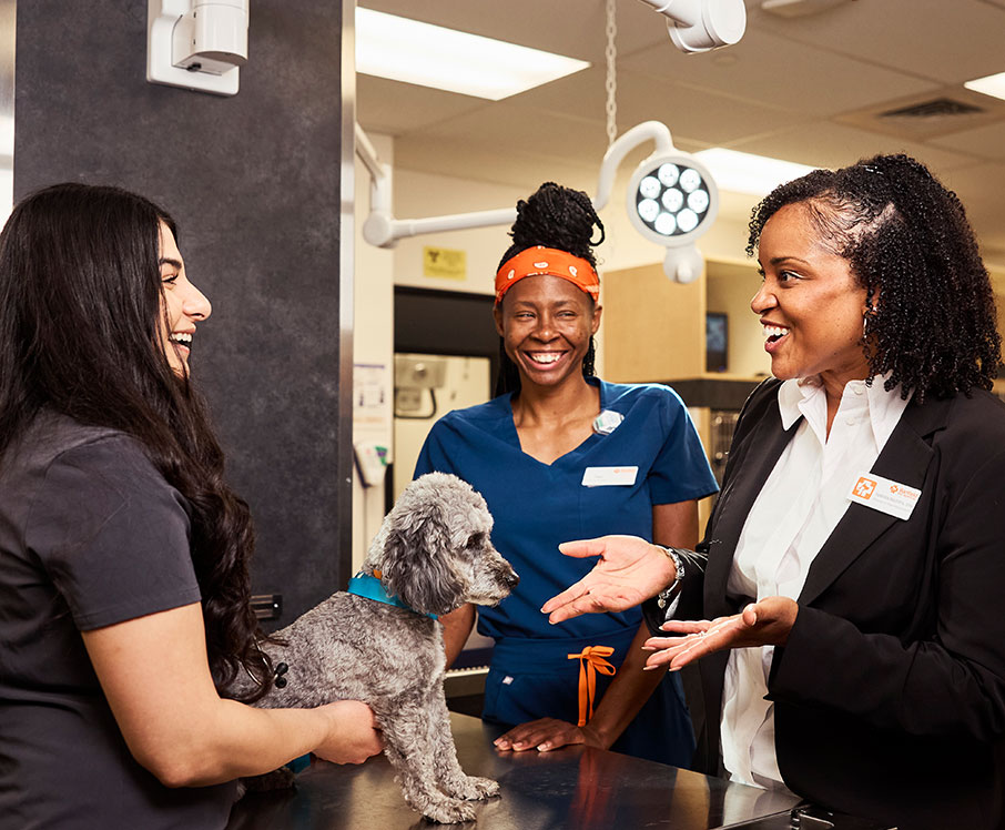 Mars Veterinary Health Advancing Pet Care
