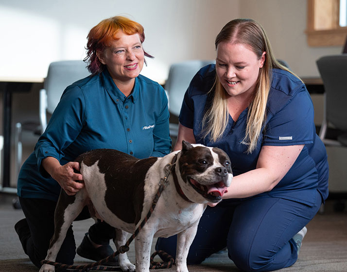 Mars Veterinary Health Extended Family
