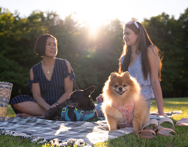 Mars Veterinary Health Extended Family