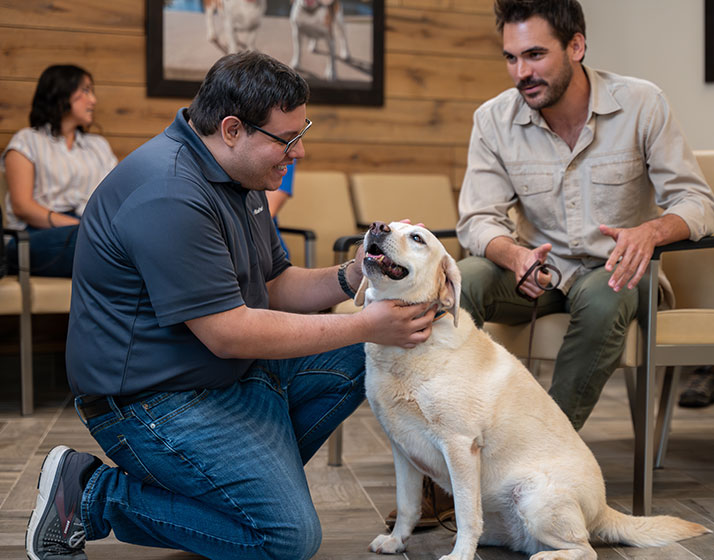 Mars Veterinary Health Extended Family