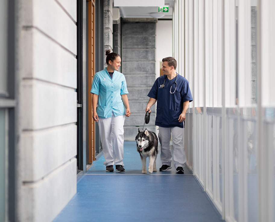 Careers at Mars Veterinary Health
