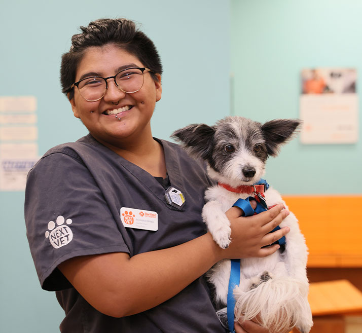 Advancing Inclusion and Diversity in the Veterinary Profession