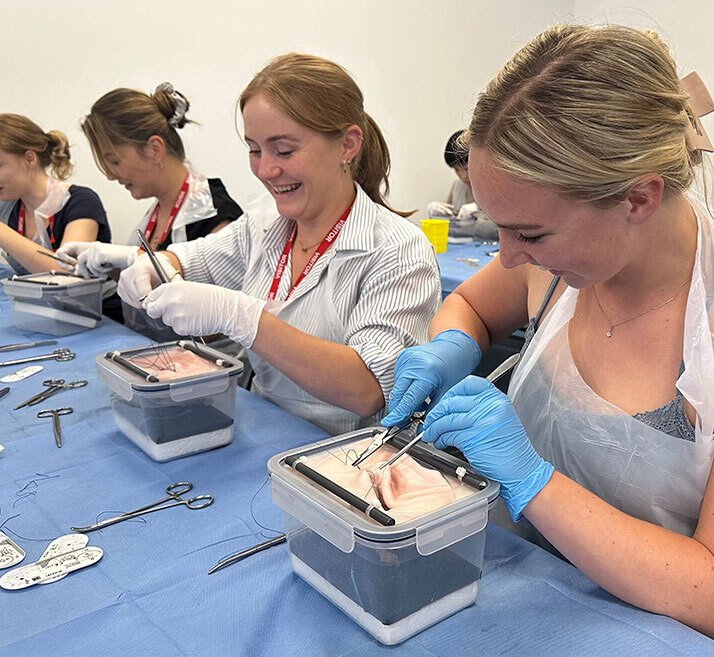 Opportunities in Veterinary Education