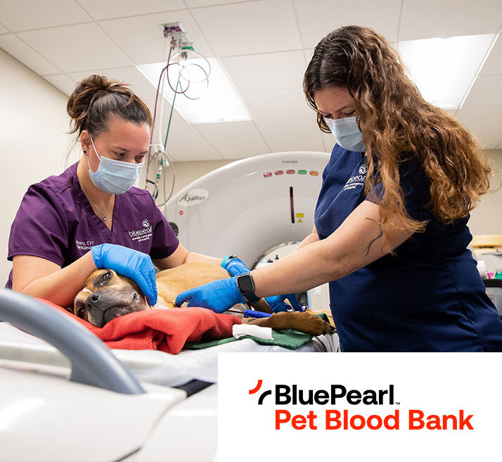 Mars Veterinary Health Data Driven Care and Diagnostics