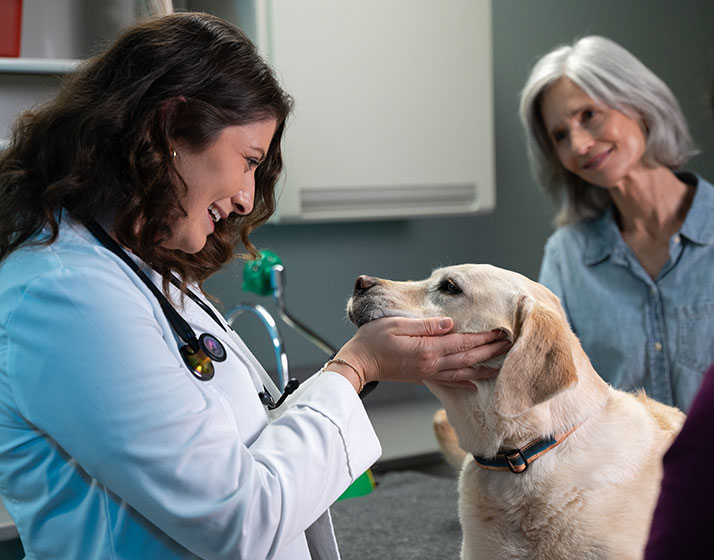 Mars Veterinary Health Extended Family