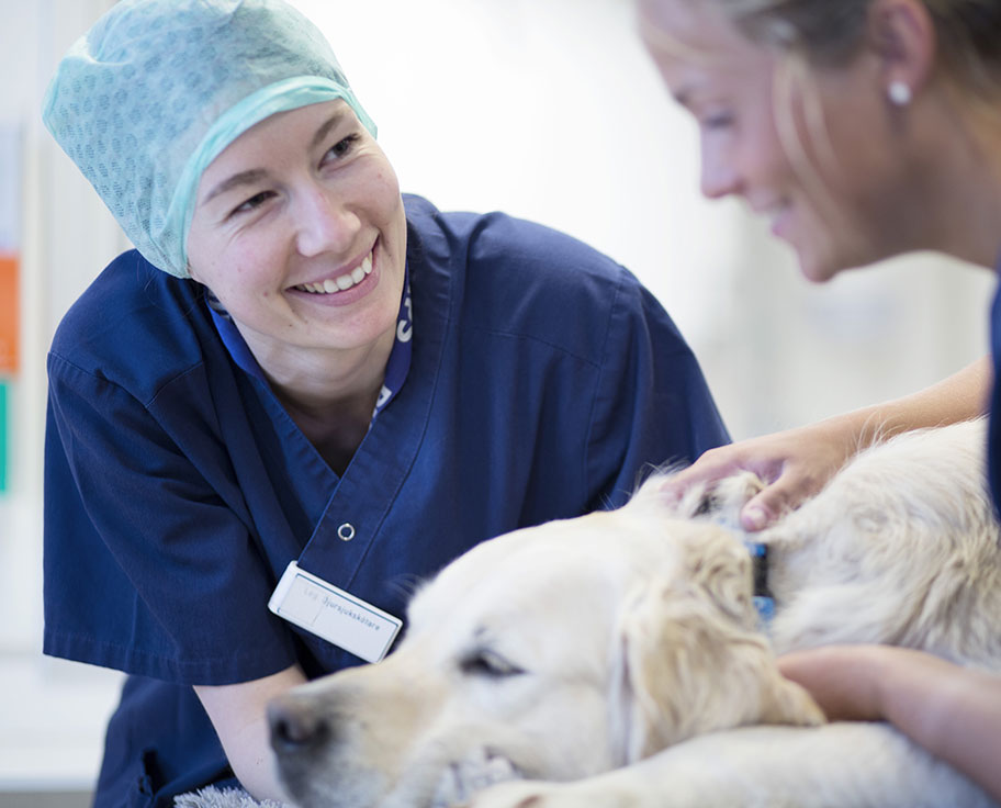 Careers at Mars Veterinary Health