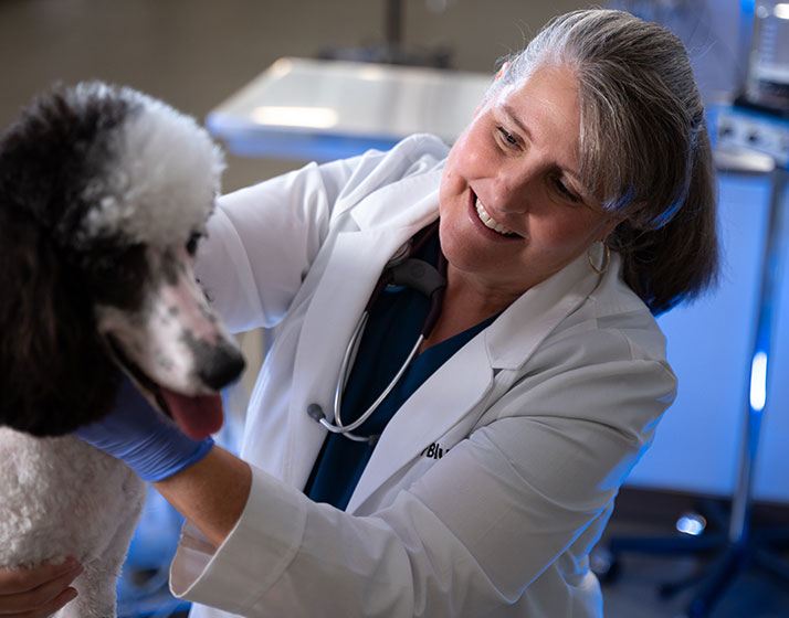 Mars Veterinary Health Giving Back